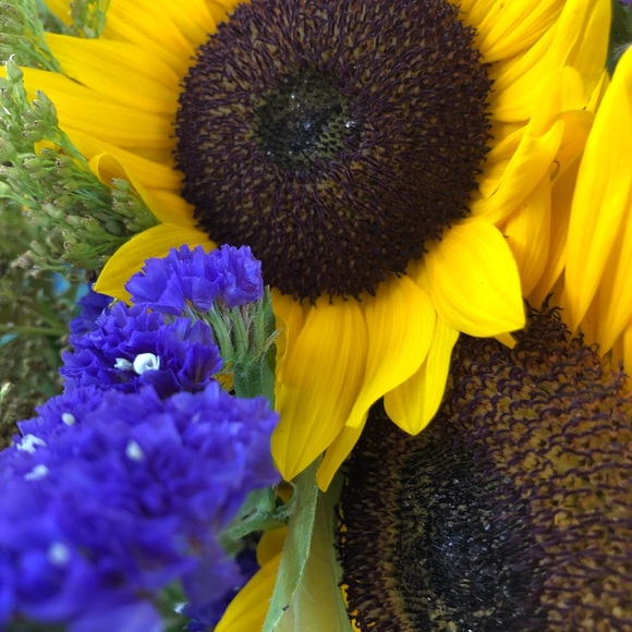 Meet your Posher, Abigail - Picture 1 of 1